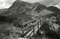 p2005 05g bw 031m