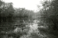 p2005 03d 029m