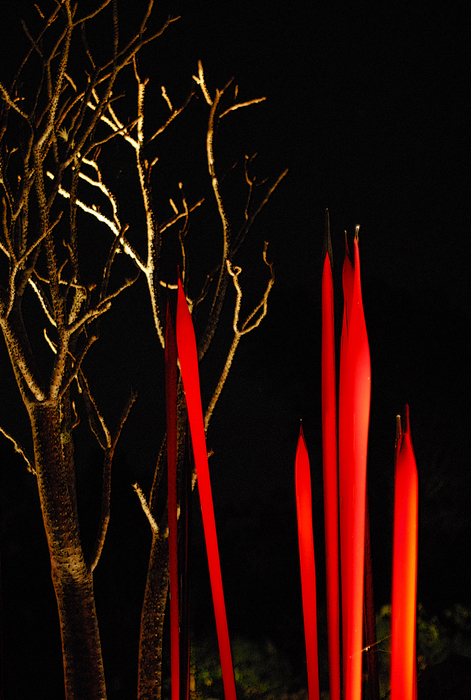 p2007 02 d200 0354m