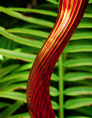 p2007 01 d200 0153m
