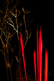 p2007 02 d200 0354m