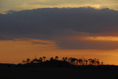 p2008 03 d200 2038m