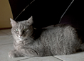 p2009 07 l 01318m