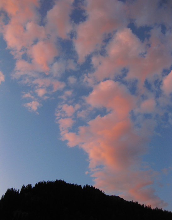 p2009 08canon 2658m