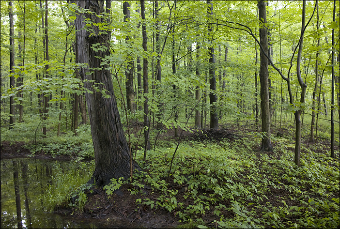p2010 06 l 02408m