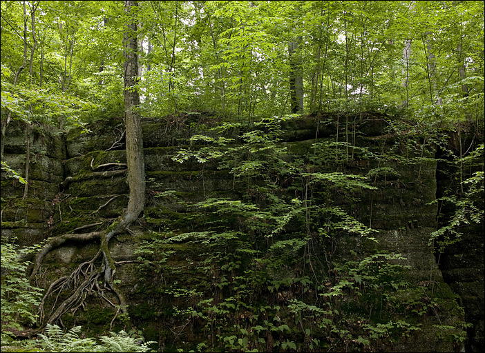 p2010 06 l 02442m3