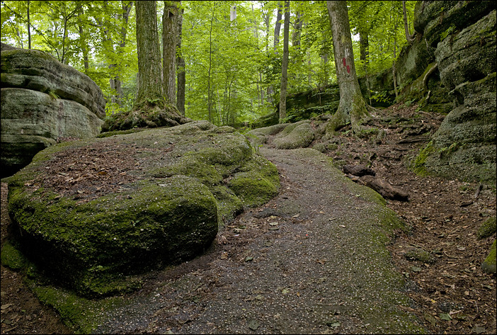 p2010 06 l 02449m