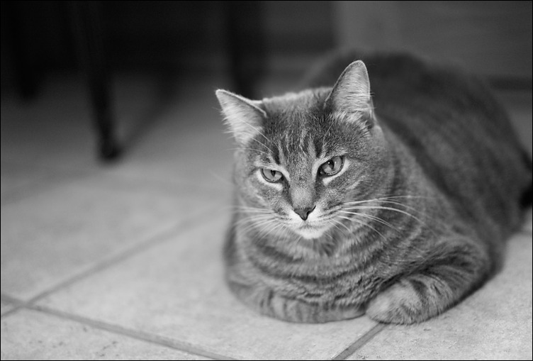 p2010 07 m9 00165m