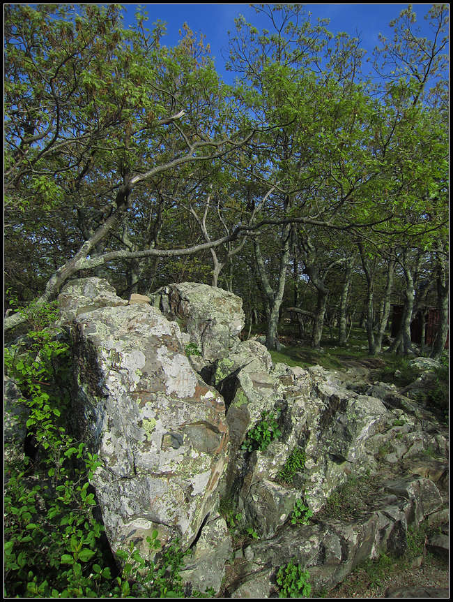 p2012 05 c500 1096m