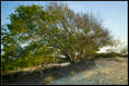 p2012 03 m9b 13289m