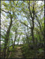 p2012 05 c500 1108m