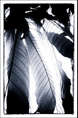 p2012 12 x2 30961m