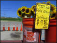 p2013 04 c260 0039m2